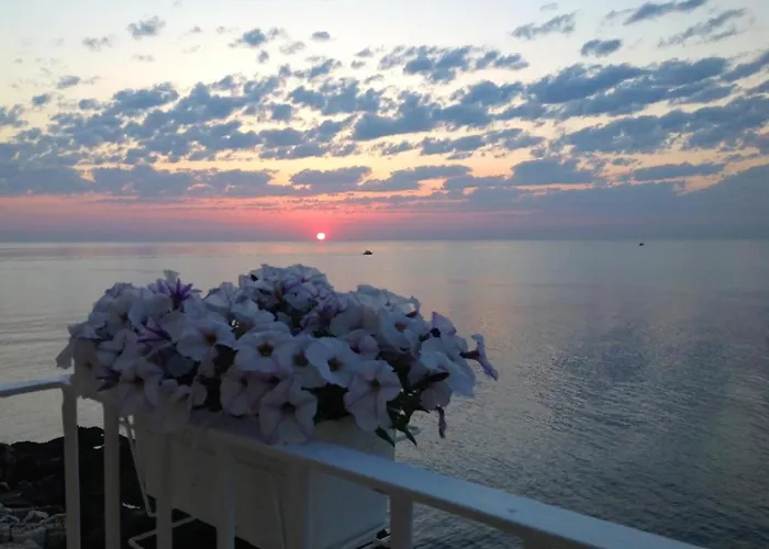 Bed & Breakfast Bellavista